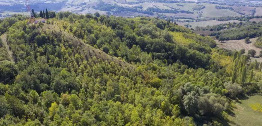 Orto Botanico dell'Università di Camerino, Italy